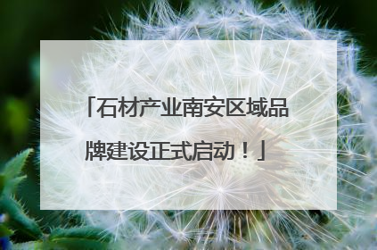 石材产业南安区域品牌建设正式启动！